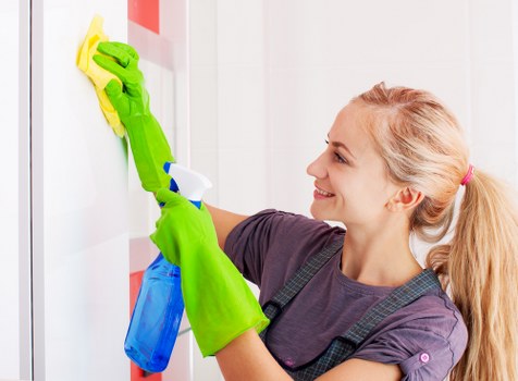 Professional carpet cleaning in a bright living room