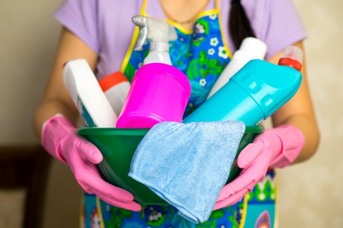 Eco-friendly house cleaning tools and products