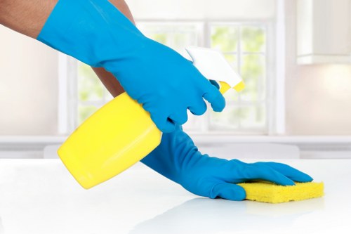 Clean kitchen and sanitized surfaces showing regular cleaning benefits