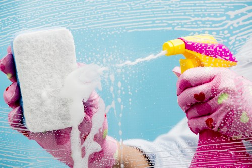 Professional cleaning supplies arranged for a move in cleaning job