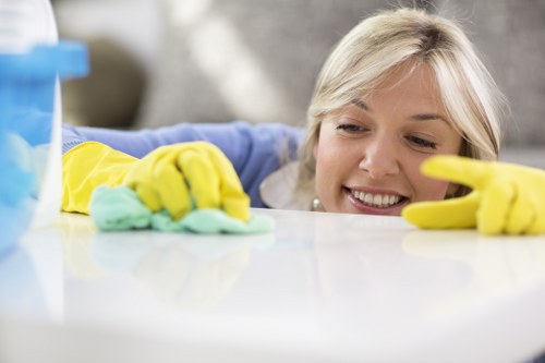 Green commercial cleaning in a professional setting