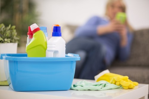 Professional home cleaning in Chelsea living room