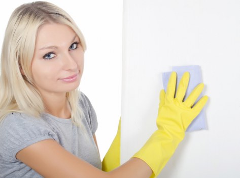 Specialist handling of delicate fabrics in a cleaner