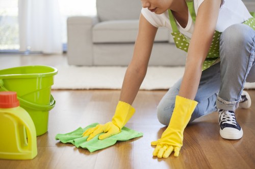 Deep move out cleaning checklist for final inspection